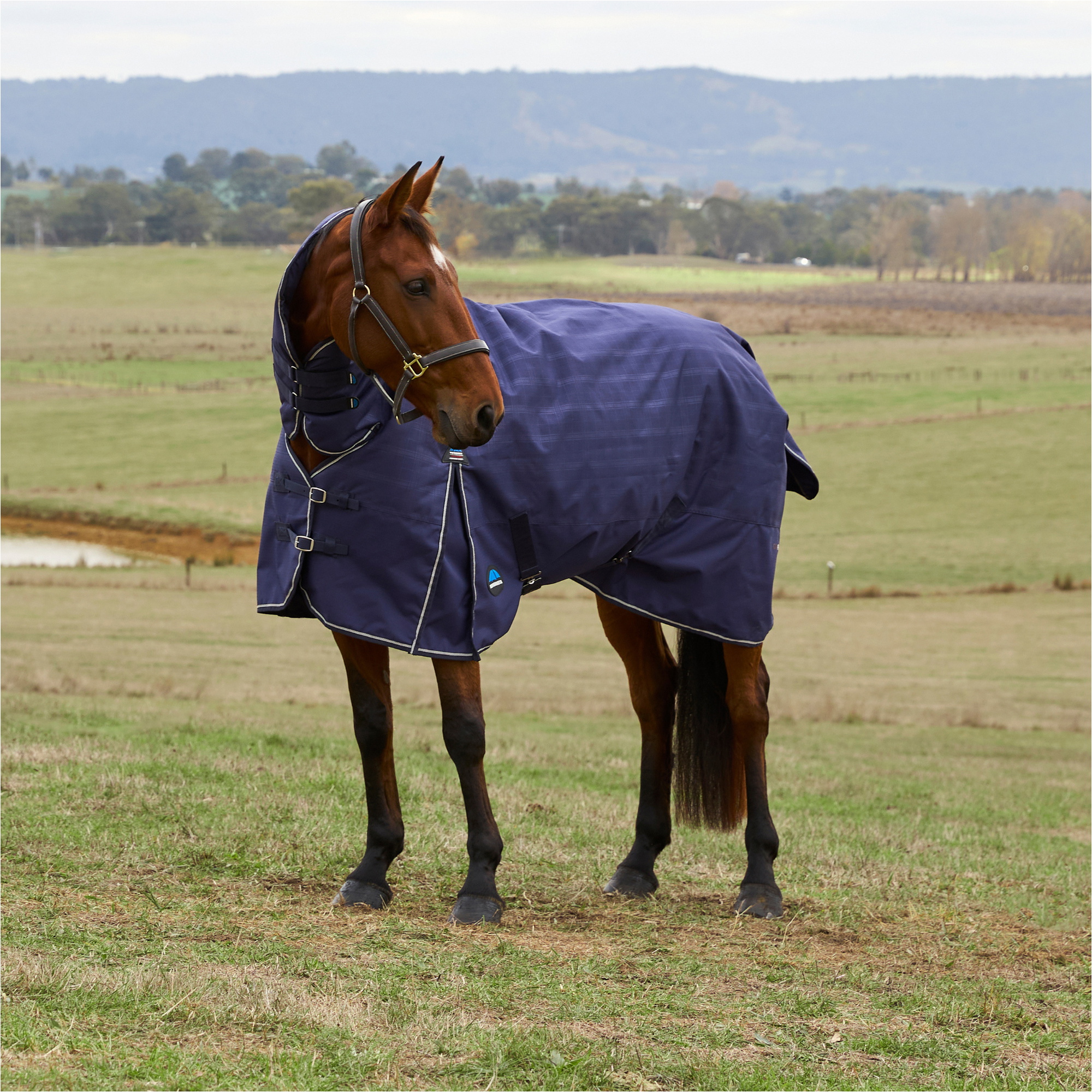 2025 Weatherbeeta Comfitec Vorläufig Sich Herausstellen Combo 220G 1029030 - Navy Embossed Plaid